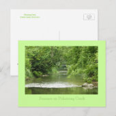 Zomer op Pohatcong Creek Briefkaart (Voorkant / Achterkant)