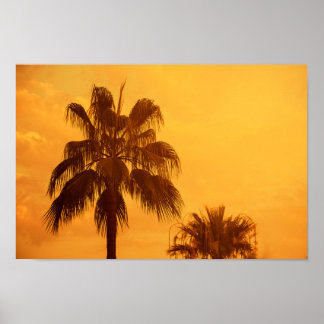 Zomer palm strand ontwerp poster