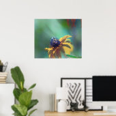 zomer poster (Thuiskantoor)