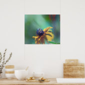 zomer poster (Keuken)