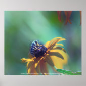 zomer poster (Voorkant)