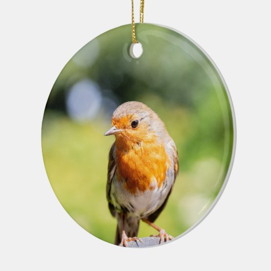 Zomer Robin Keramisch Ornament (Links)