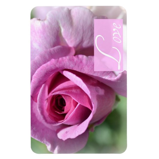 Zomer Roos magneet (Verticaal)