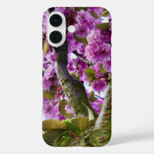 Zomer Roze Bloeiende Boom Kroon Foto -