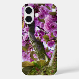 Zomer Roze Bloeiende Boom Kroon Foto - iPhone 16 Hoesje