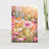 Zomer Roze Kosmos Verjaardag Kaart (Voorkant)