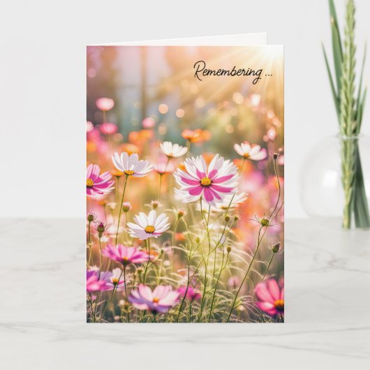 Zomer Roze Kosmos voor Sympathie Kaart (Voorkant)