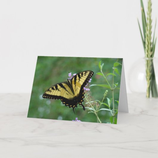 Zomer schoonheid kaart (Voorkant)