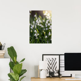 Zomer Sneeuwvlok witte bloemen Poster