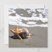 Zomer Strand Zeesterren Seashell Sweet 16 Verjaard Kaart (Achterkant)