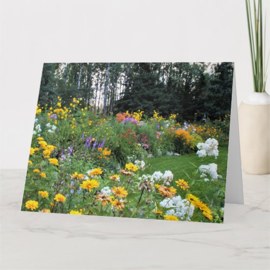 Zomer Tent Garden Kaart (Voorkant)