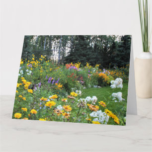 Zomer Tent Garden Kaart