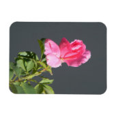 Zomer tijdliefde... magneet (Horizontaal)