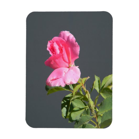 Zomer tijdliefde... magneet (Verticaal)