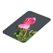 Zomer tijdliefde... magneet (Linkerzijde)