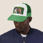 zomer trucker pet (In situ)