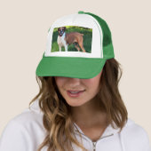 zomer trucker pet (In situ)