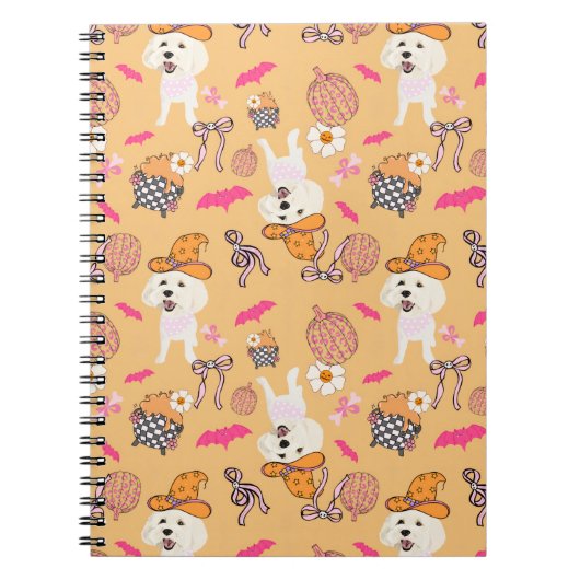 Zomer tussen heksen en notitieboek (Voorkant)