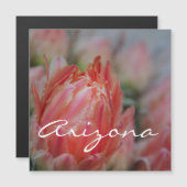 Zomer uit Arizona (Voorkant / Achterkant)