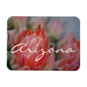 Zomer uit Arizona Magneet (Horizontaal)