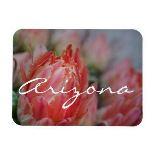 Zomer uit Arizona Magneet