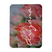 Zomer uit Arizona Magneet (Verticaal)