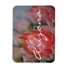 Zomer uit Arizona Magneet