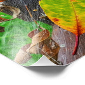 Zomer valt in het web van de herfst foto afdruk (Hoek)