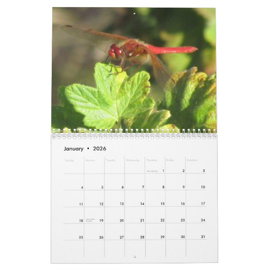 Zomer van de dragonfly ~ 2014 kalender (Jan 2026)