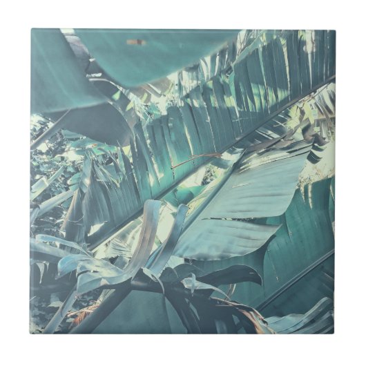 Zomer Vibes Banana Tree laat Bleek groen over Tegeltje (Voorkant)