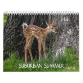 Zomer voorstad kalender (Hoes)