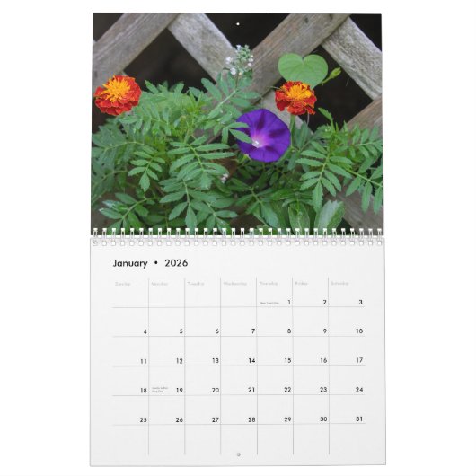 Zomer voorstad kalender (Jan 2026)