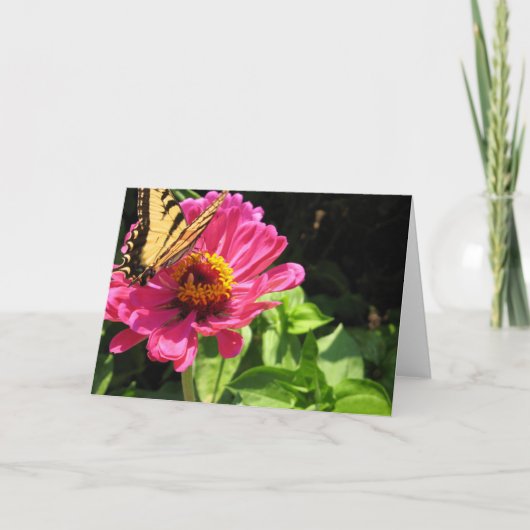 Zomer Vrienden 2 Kaart (Voorkant)