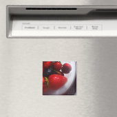 Zomer Vruchten Magneet (Insitu (Vaatwasser))