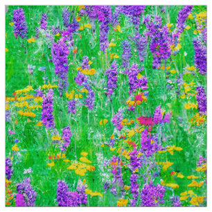 Zomer Wildbloemen in een groen veld Stof