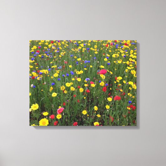 Zomer Wildbloemen van Loch Ness Canvas Afdruk (Voorkant)