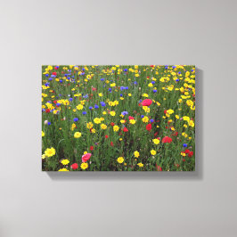 Zomer Wildbloemen van Loch Ness Canvas Afdruk