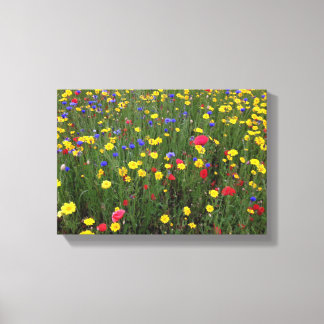 Zomer Wildbloemen van Loch Ness Canvas Afdruk