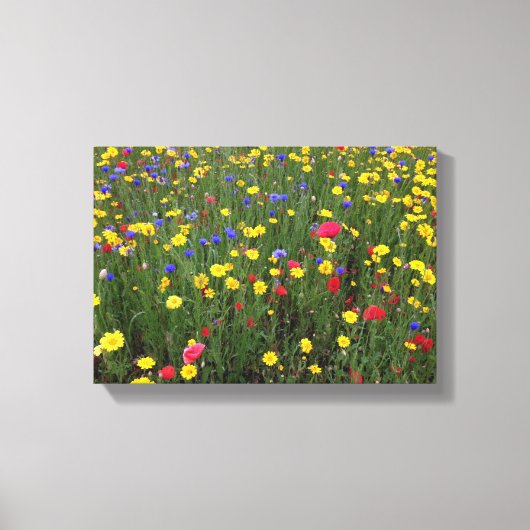Zomer Wildbloemen van Loch Ness Canvas Afdruk (Voorkant)