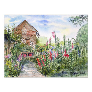 Zomer Wildflower Engelse Tuin in York Foto Afdruk