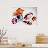 Zomer Zee Schelpen Poster (Keuken)