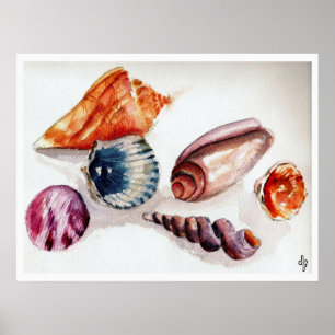 Zomer Zee Schelpen Poster