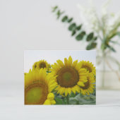 Zomer Zonnebloem Serie Briefkaart (Staand voorkant)