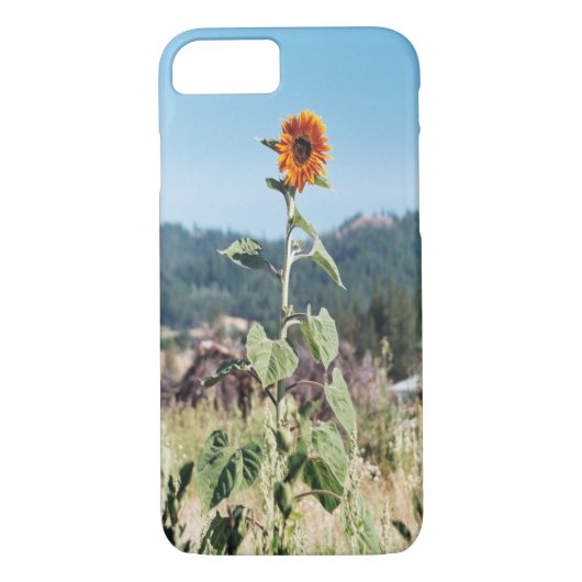 Zomer Zonnebloemen..... Case-Mate iPhone Case (Achterkant)