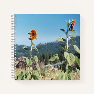 Zomer Zonnebloemen.... Notitieboek
