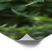 zomeractiviteit poster (Hoek)