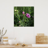 zomeractiviteit poster (Keuken)