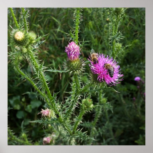 zomeractiviteit poster (Voorkant)