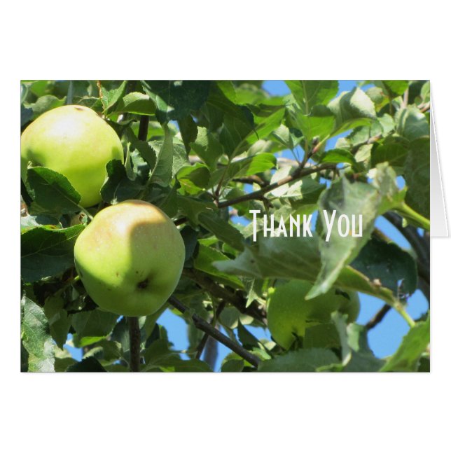 zomerappels (Voorkant Horizontaal)