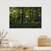 Zomeravond, Bute Park, Cardiff Poster (Keuken)